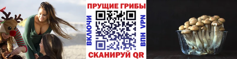 Галлюциногенные грибы прущие грибы  blacksprut ТОР  Всеволожск  наркошоп 